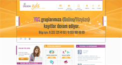 Desktop Screenshot of dilsemyds.com